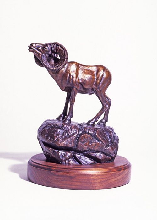 Desert Bighorn Sheep Bronze